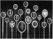 与有机介质或制冷介质换热的翅片管